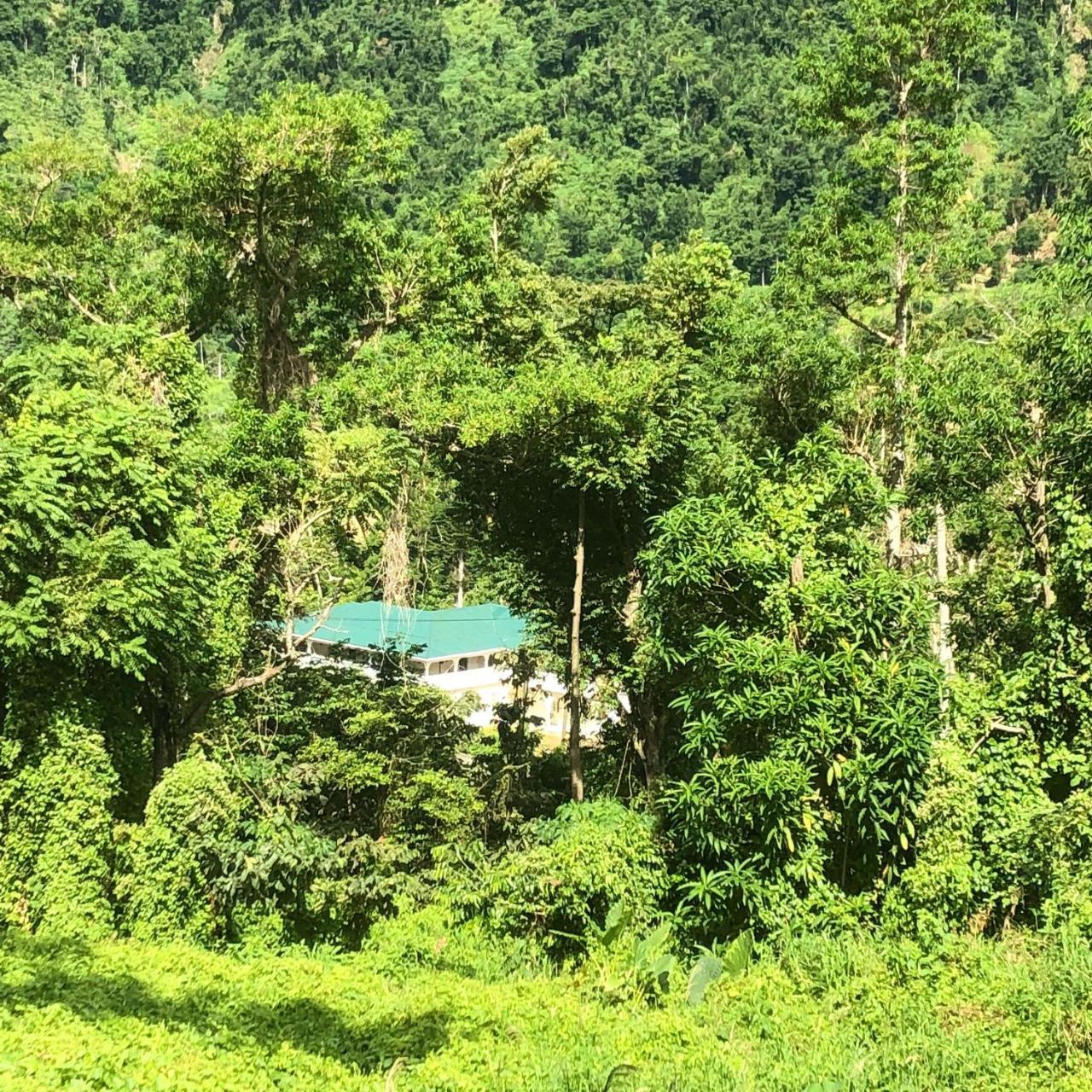 Soufriere Guesthouse エクステリア 写真
